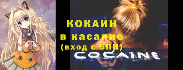 дурь Переславль-Залесский
