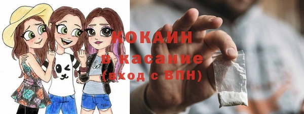 шишки Покровск