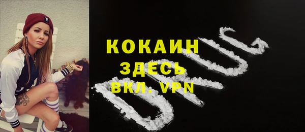 сатива Покров