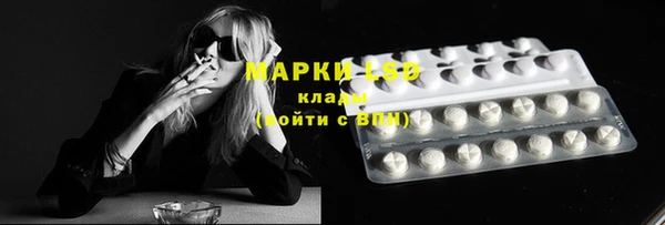 сатива Покров