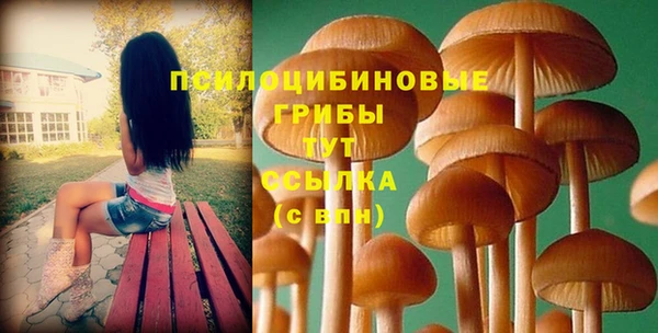 spice Пересвет