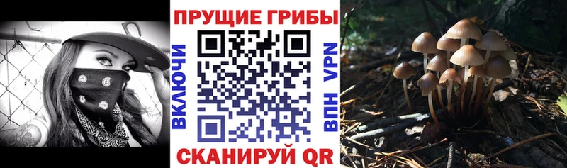 Псилоцибиновые грибы Cubensis  магазин  наркотиков  Татарск 