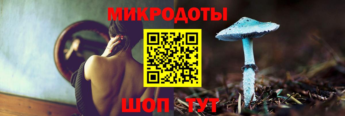 Псилоцибиновые грибы мицелий  Псилоцибиновые грибы мухоморы  Вход с VPN  Татарск 